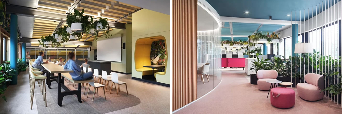 °ì¹«ÇøÓò×°ÐÞÉè¼Æ